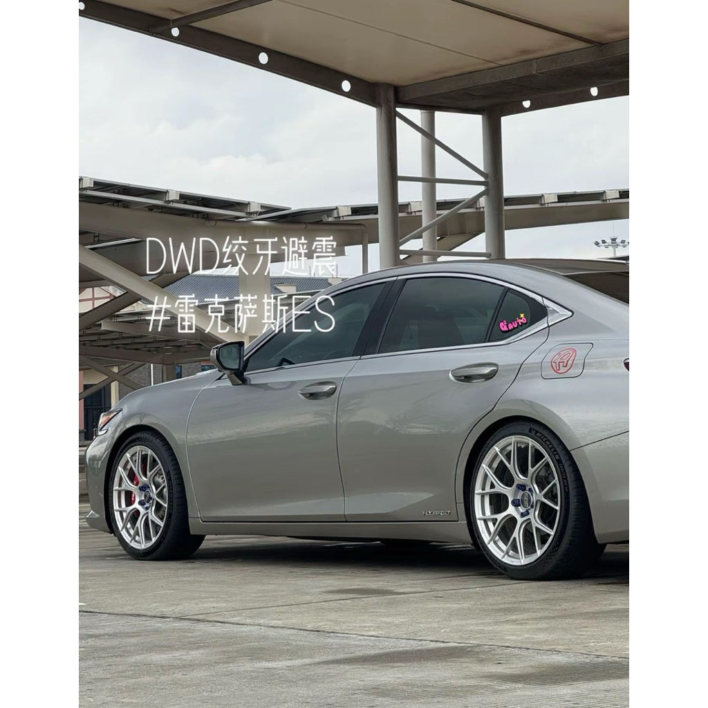 DWD DDS+ Performance Adjustable Hilow Adjustable Perfect Daily uses dwd adjustable